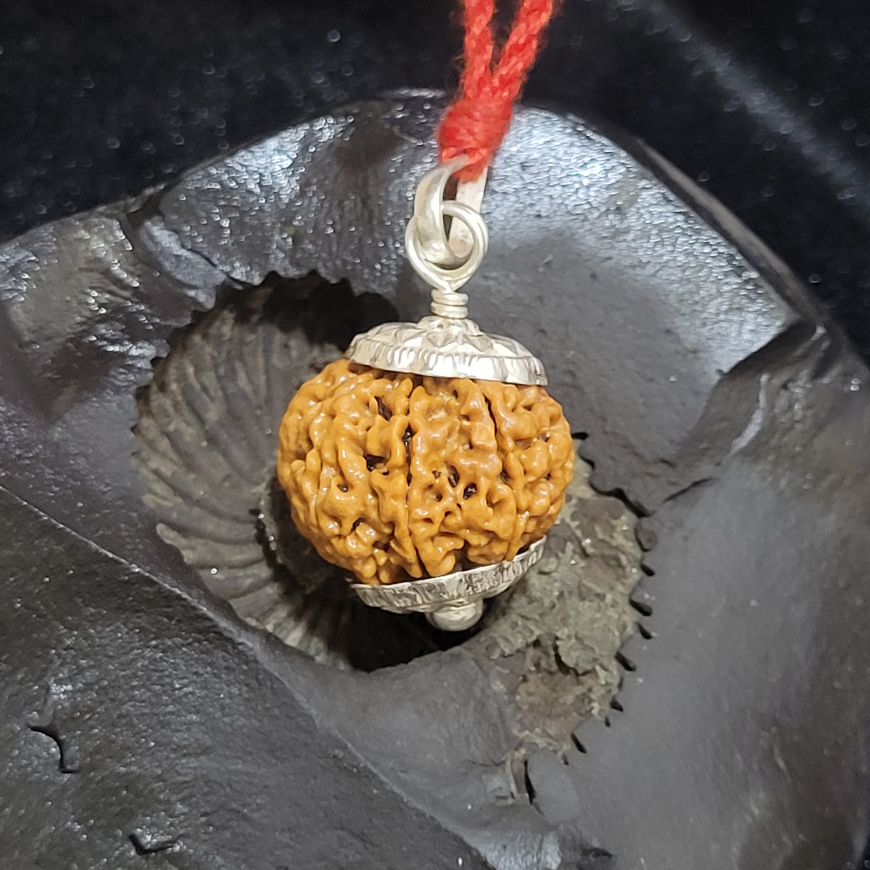 Mukhi Nepal Rudraksha silver pendant with x-ray lab report