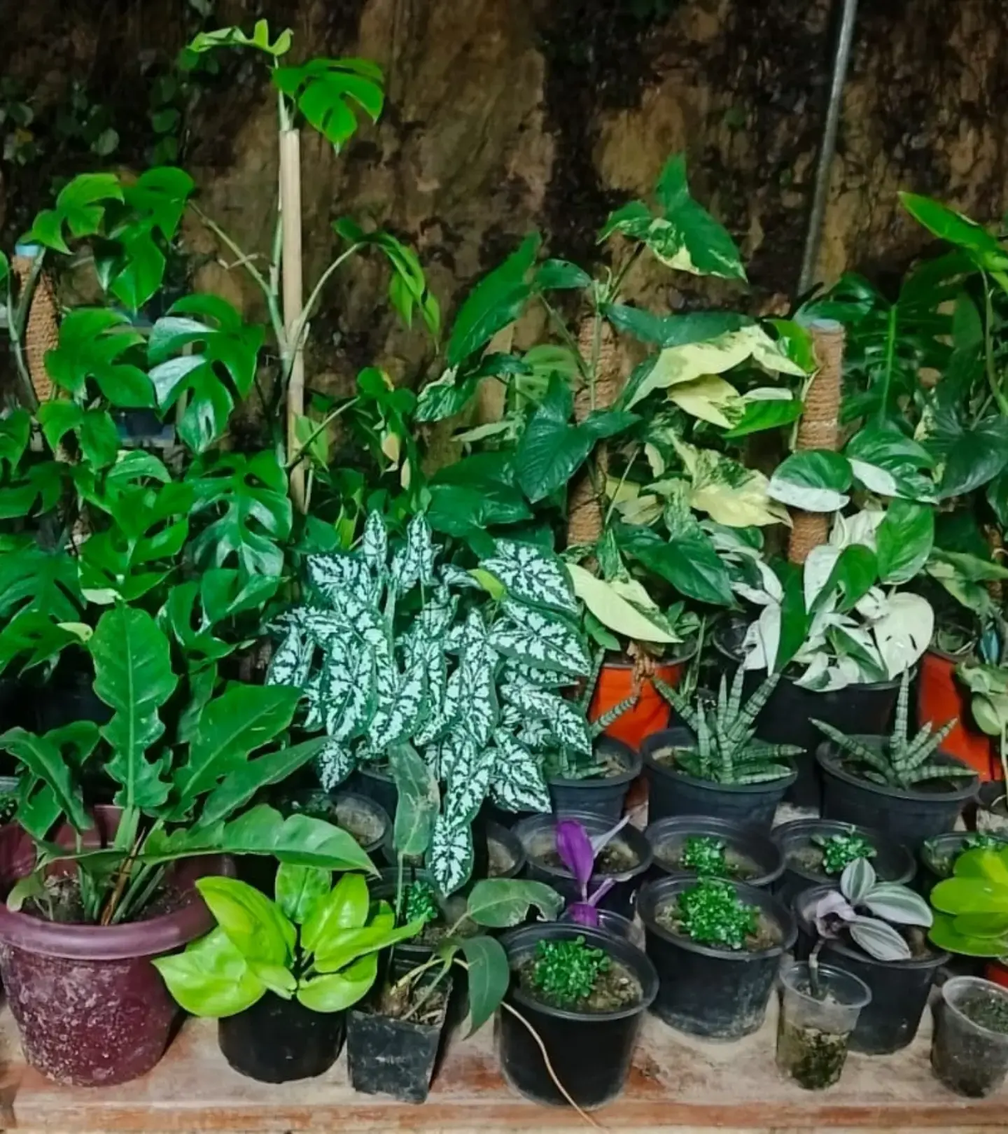 Main Banner Image 1