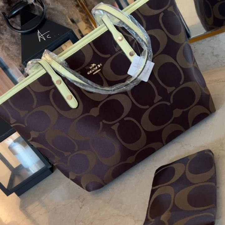 Share more than 116 coach bags online dubai xkldase.edu.vn