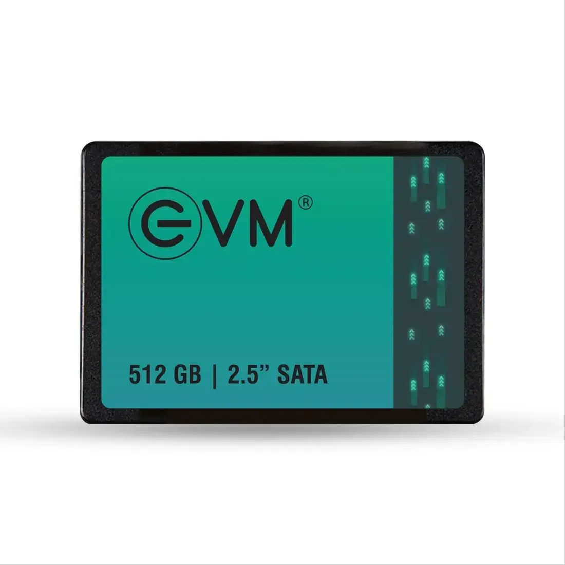 Buy EVM SATA SSD online at best price | Yash Infotech
