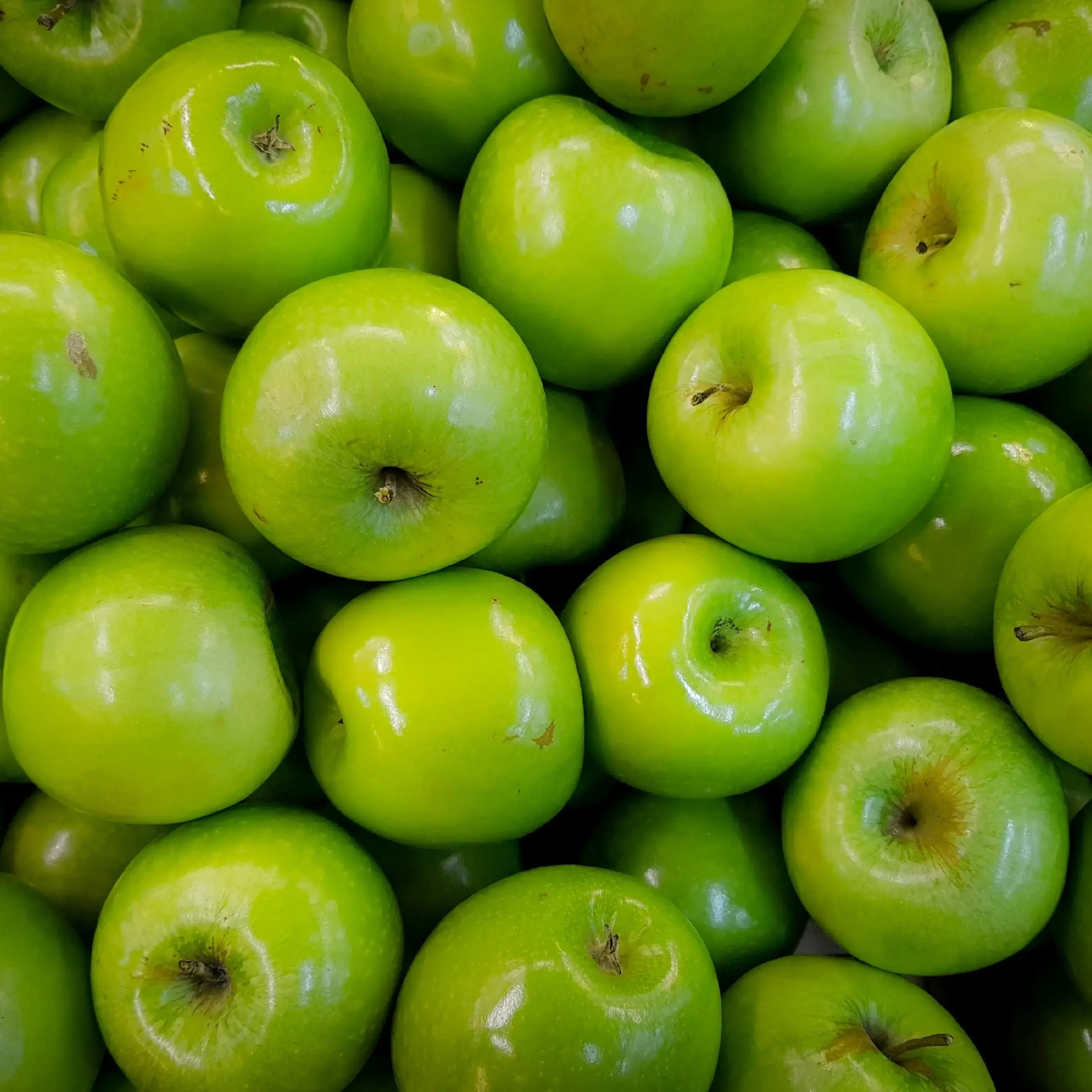 Buy Green Apple 1kg online at best price | We Shop