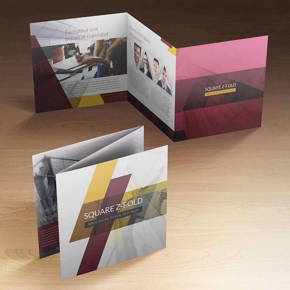 New company brochure design : Brochures… Buy Brochures Z-Fold online at best price | Ninety's Design