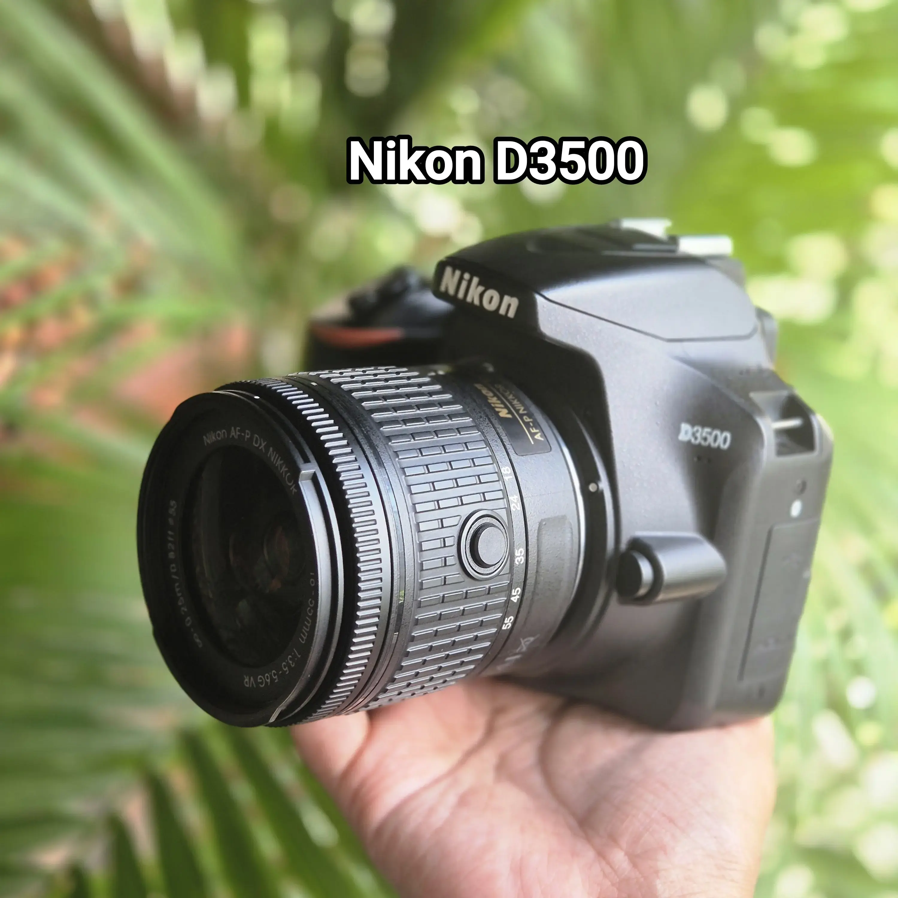 Photography Reviews On Nikon D3500 Photography Nikon D3500 Video