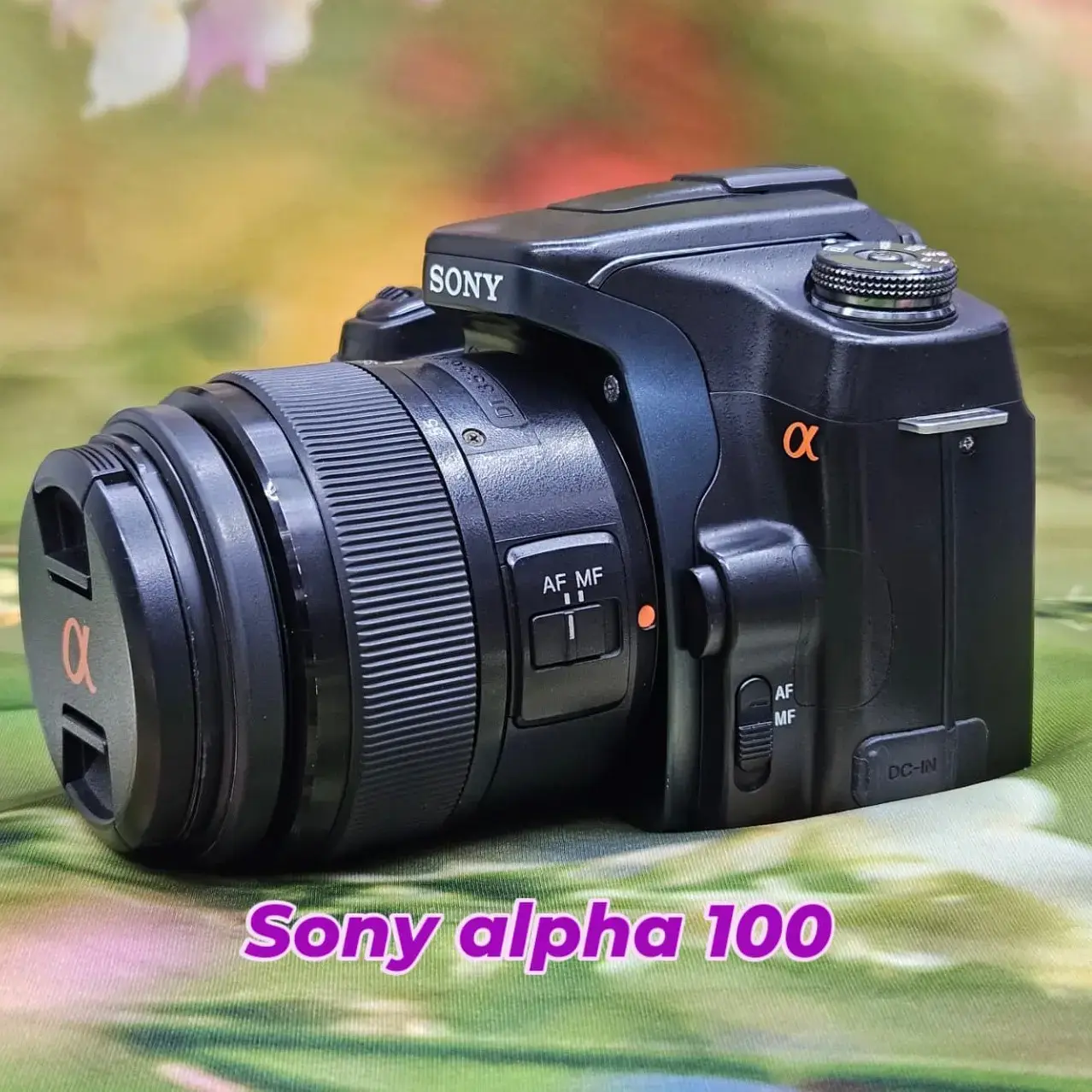 Buy Sony Alpha 100 DSLR Camera with 18-55mm f/3.5-5.6 SAM II Lens