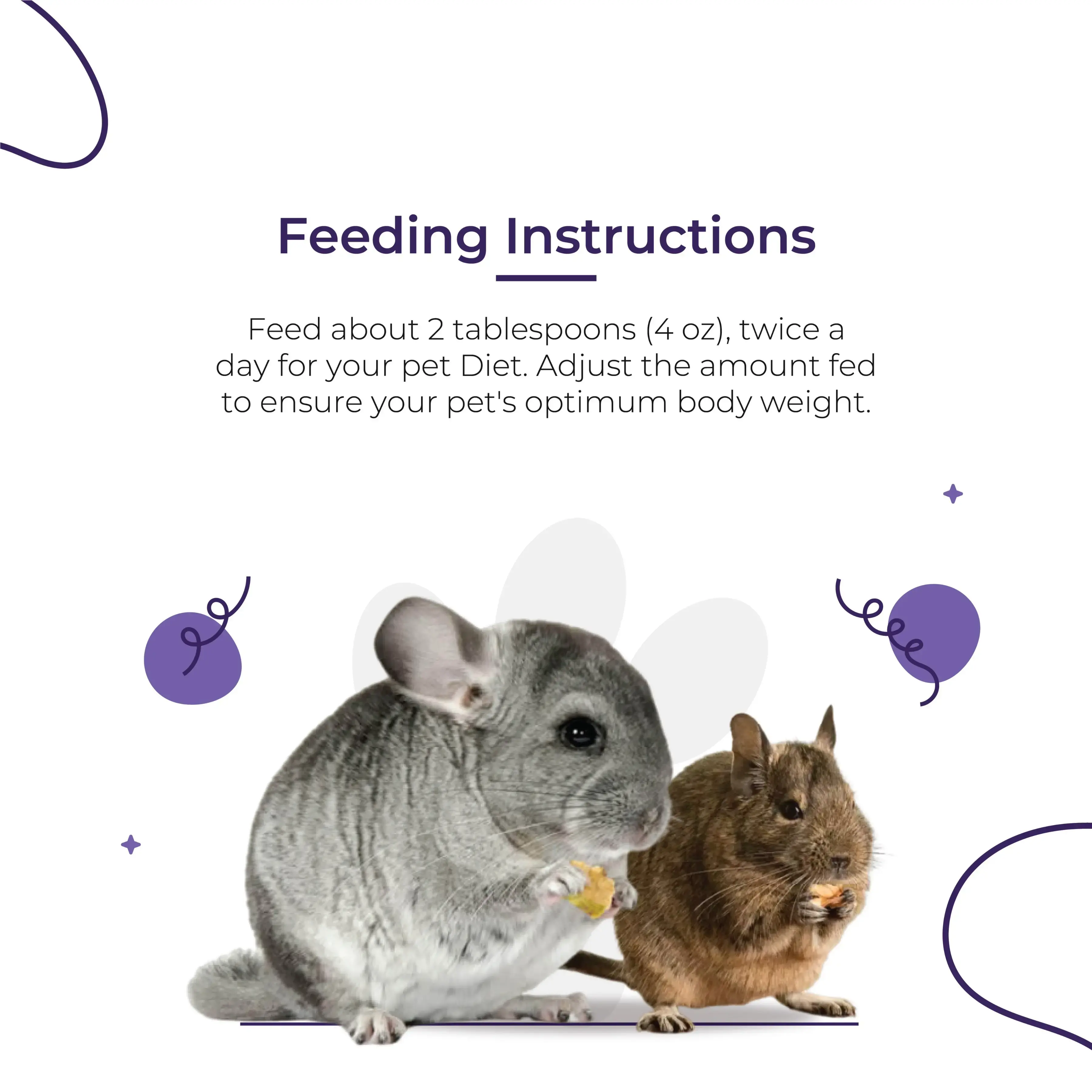 Buy Degus Rodents Pellets food online at best price INR's Rabbit