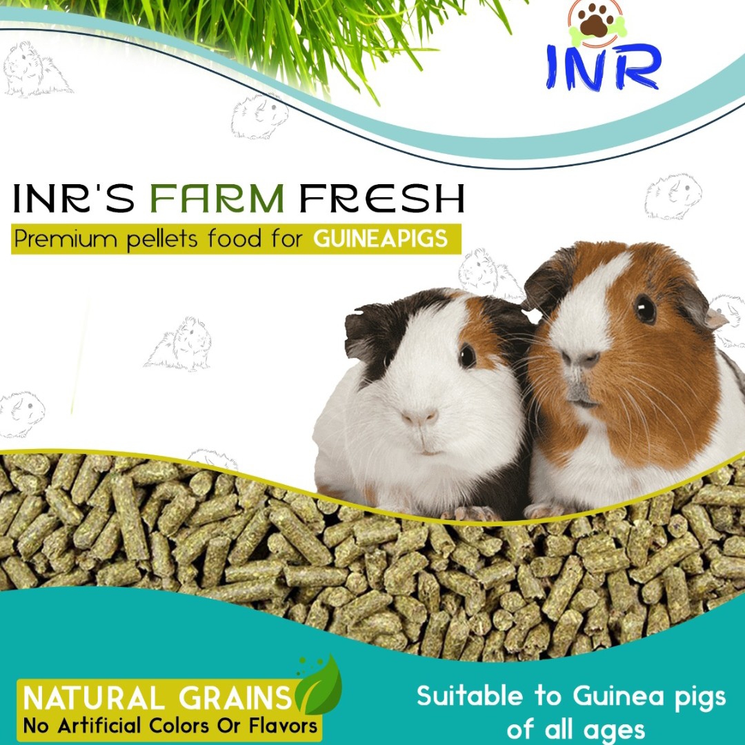 INR Rabbits Pets Farm INR Enterprises Bangalore Order Online