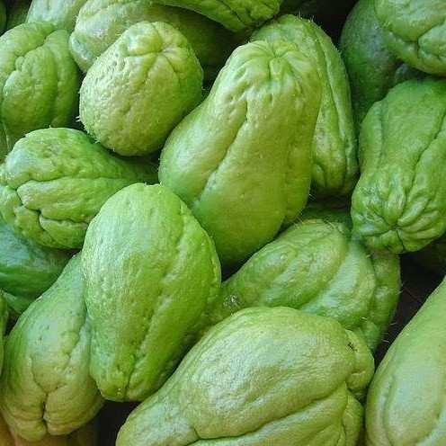 Chow Chow Squash 500 gm