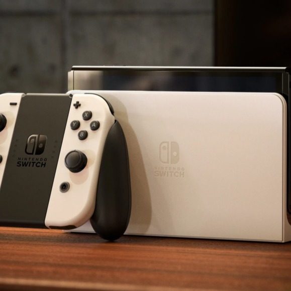Nintendo Switch SONY PlayStation4 CUH-7200CB01 Nintendo Switch System with Gray Joy-Con : Amazon.in: Video Games