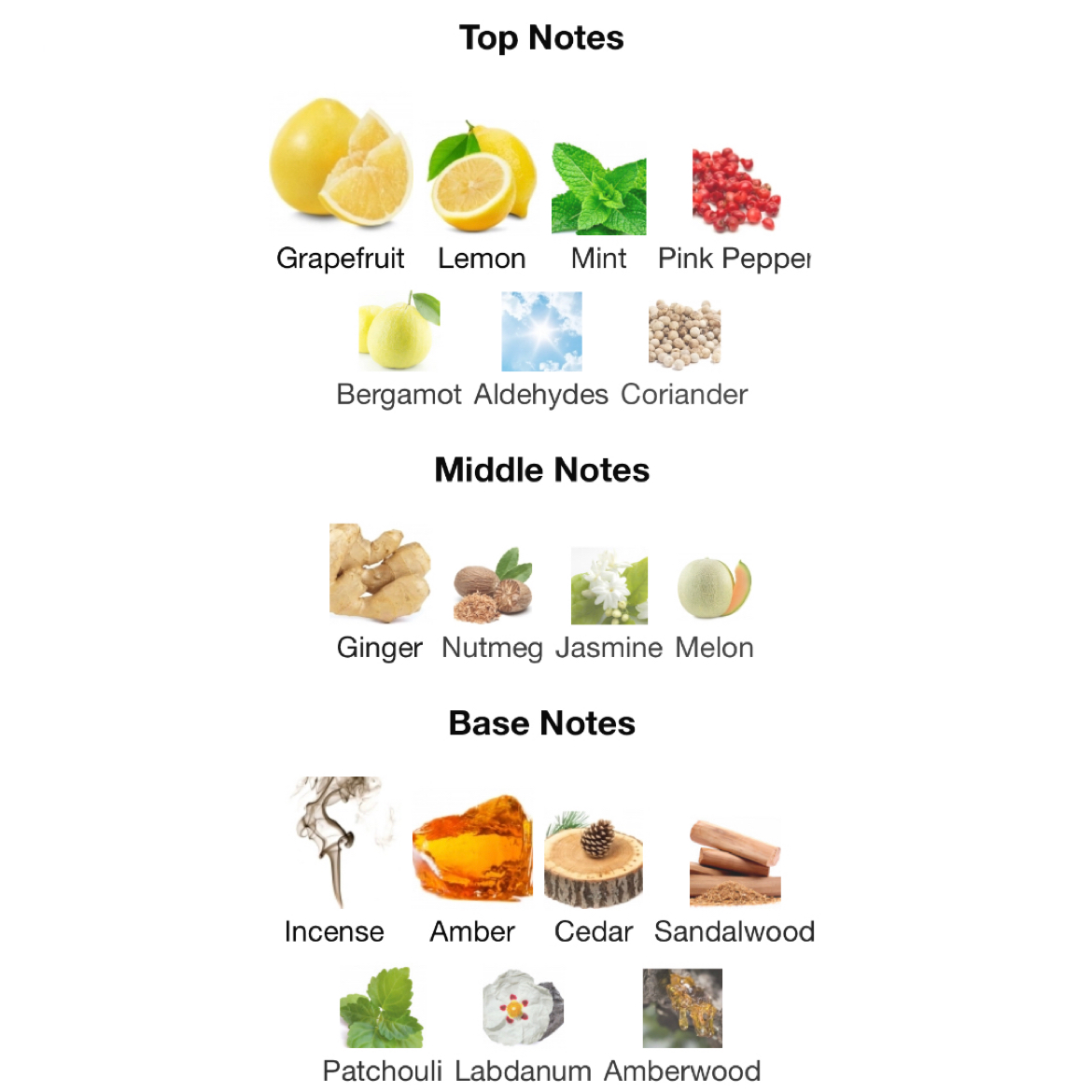 Middle Notes List Of Top Note Essential Oils Pepper Bergamot Top