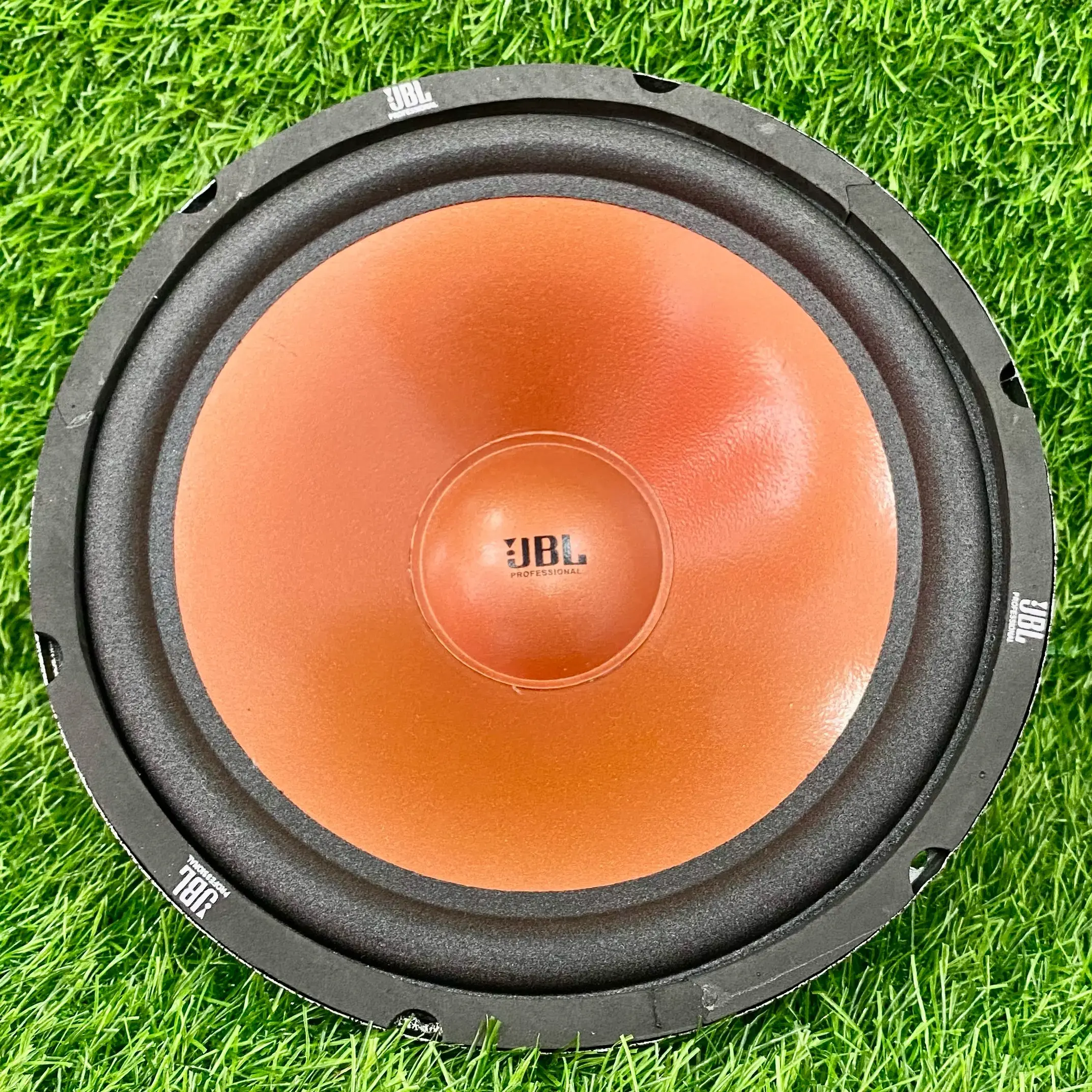 10-INCH 100-WATT 120-M WATERPROOF WOOFER