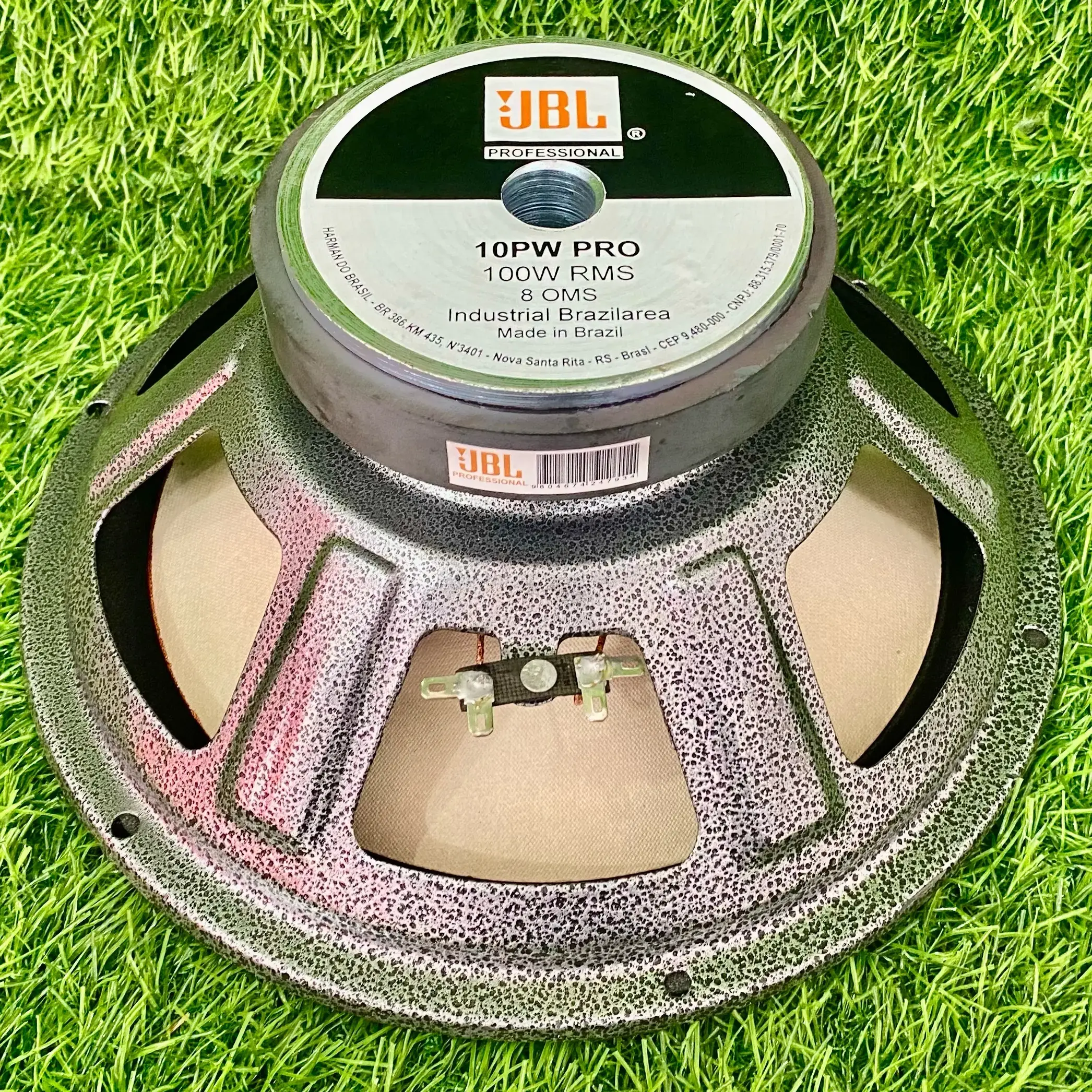 10-INCH 100-WATT 120-M WATERPROOF WOOFER