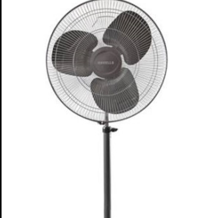 Order Havells Windstorm 500mm PEDESTAL Fan Online From Ajit Sales