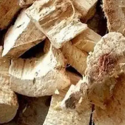 Vidarikand विदारीकंद (Sabut/Akkha) - 1