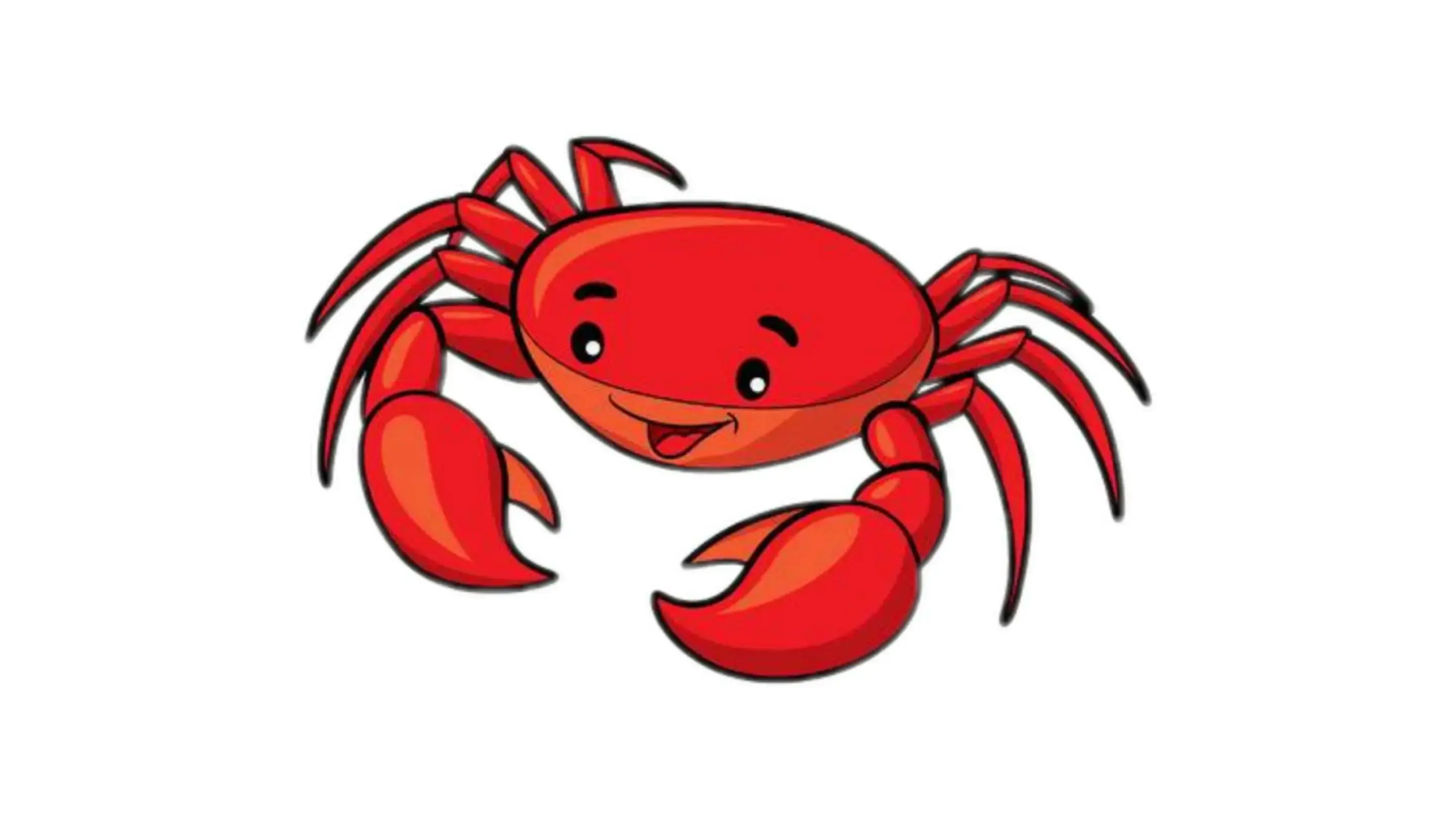 Main Banner Image 1