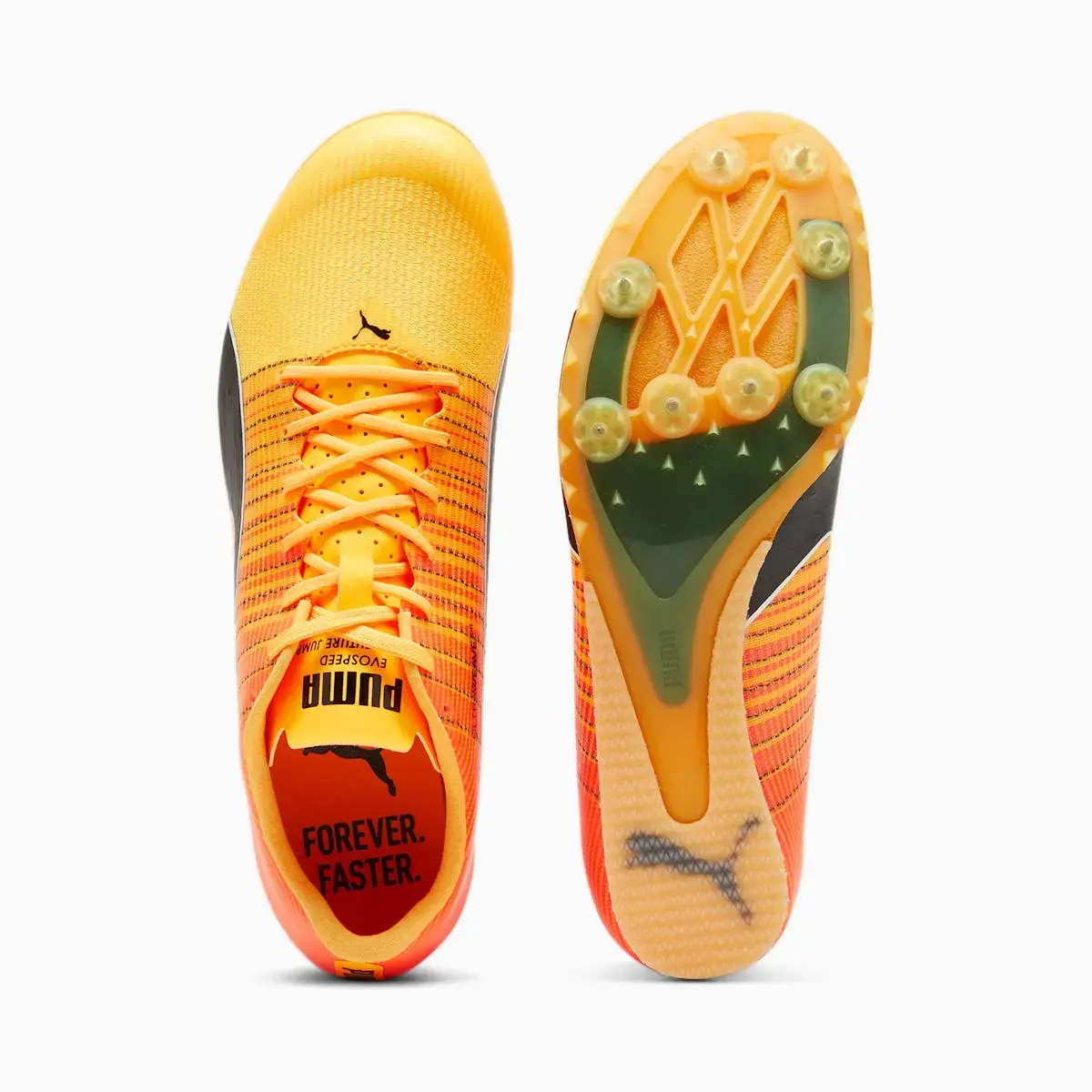 Puma Evospeed Tokyo Future Running Spikes