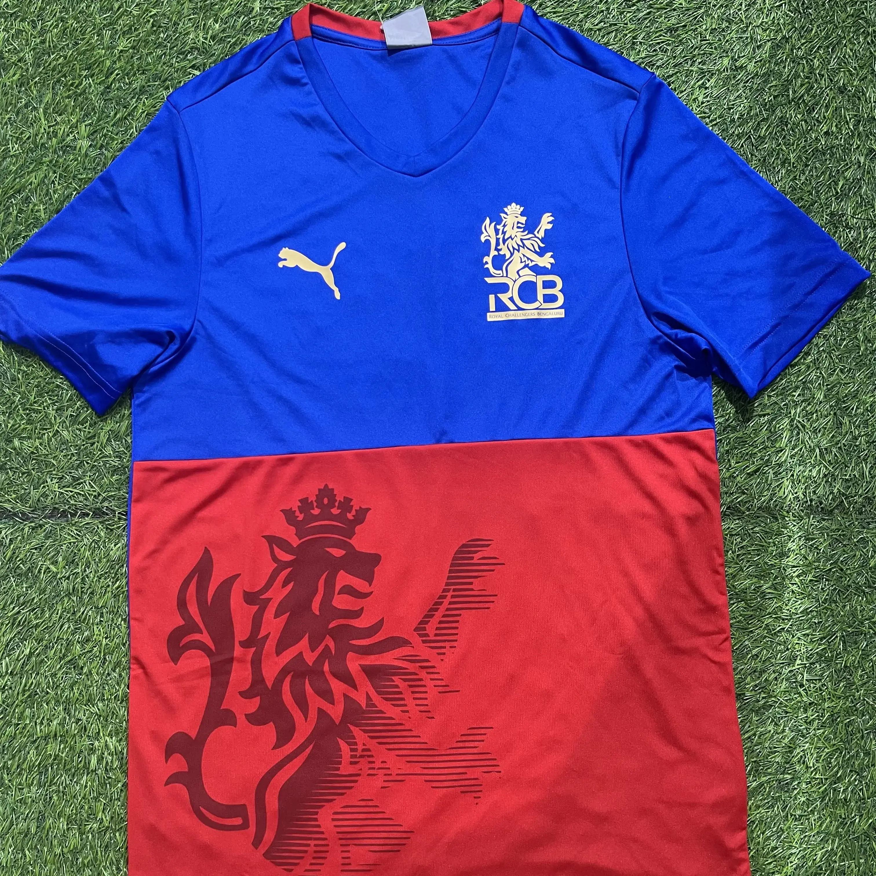 Buy RCB 2024 Take Down Jersey online at best price The Cric Store