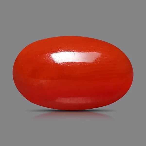 लाल मूंगा