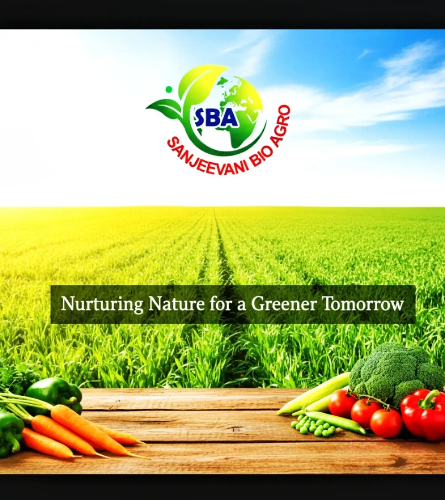 Main Banner Image 1