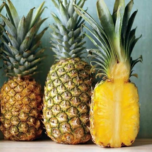 Buy Queen Pineapple Sucker online at best price | COCOTER FARM