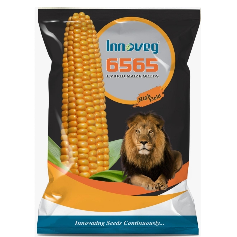 Buy 6565 Hybrid पीला मक्का | Hybrid Yellow Maize online