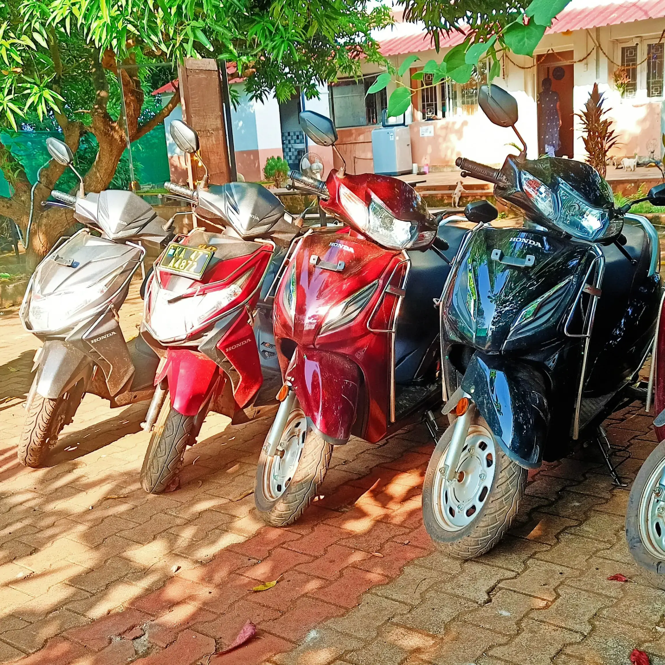 Bike Rental Bike Shop Prices Bangalore Weekly Bike Rental Near Me