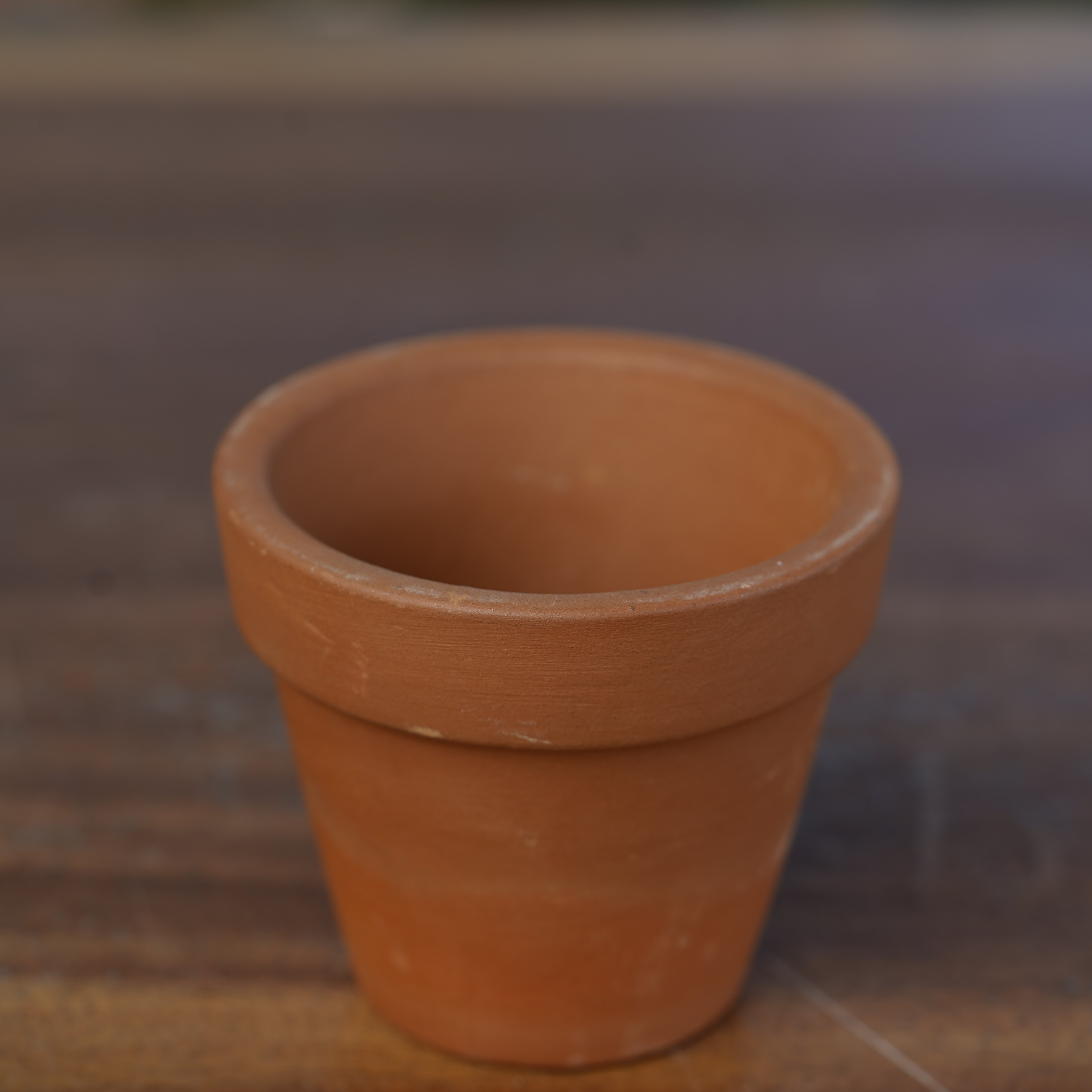 Order Small Mitti Pot Online From BOTANIKA THE NURSERY,Ludhiana