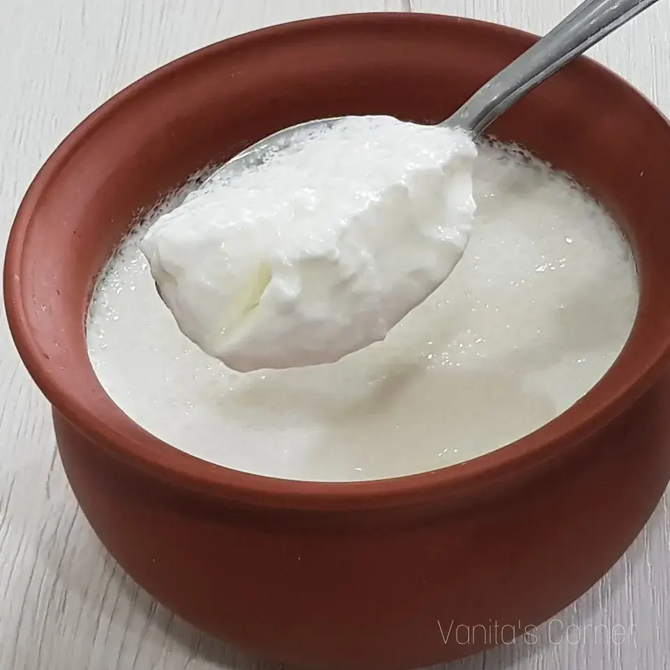 Curd  500 Grams - 1