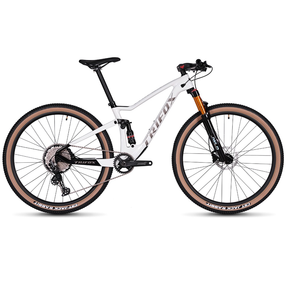 pioneer titane glossy full suspension bike