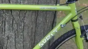 Surly Cross Check Frameset (H. FOAM)