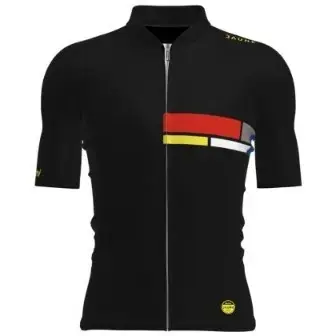 Santini Tour de France Alpe d'Huez jersey - print