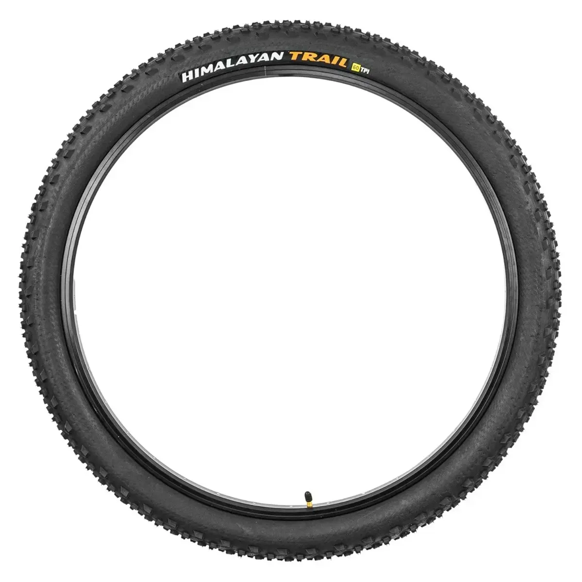 Ralson 29X2.40 | Nylon HimalayanTrail Skill Wall Tyre | Side Grooves and Cornering