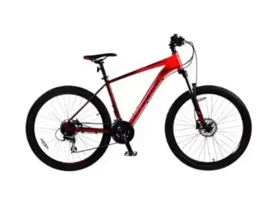 Veloce V300