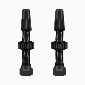 WTB TCS AL Tubeless Valves-Black (46mm) (Pack Of 2)
