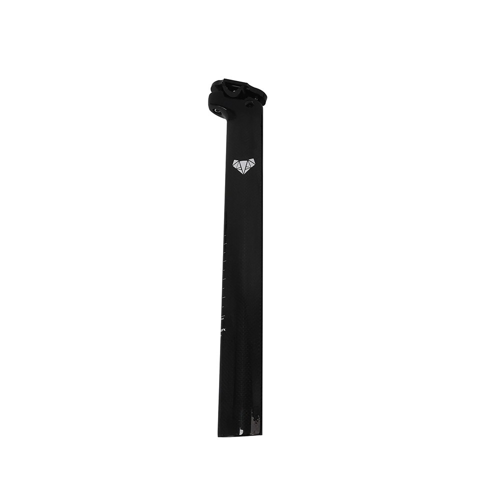 Carbon Bike Seatpost SX10
