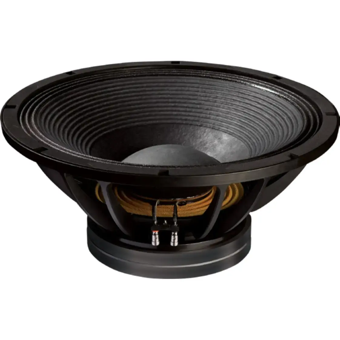 Dynatech Speakers 18 Inch Bass Speaker 2000 Watt Price Black 18