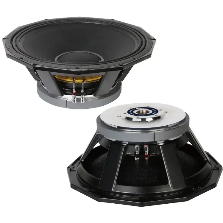 P Audio 6000 Watt Subwoofer P Audio P150 2226 V3 Pro Audio Speaker