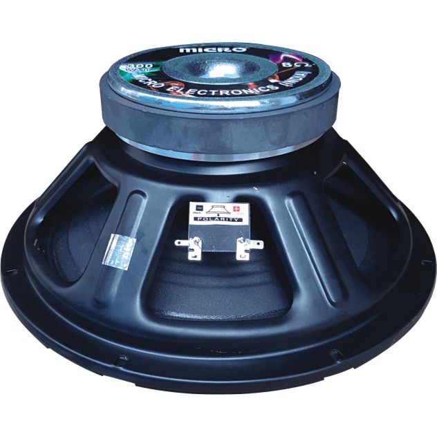 Real Audio RE-12/300 300 watt - 1