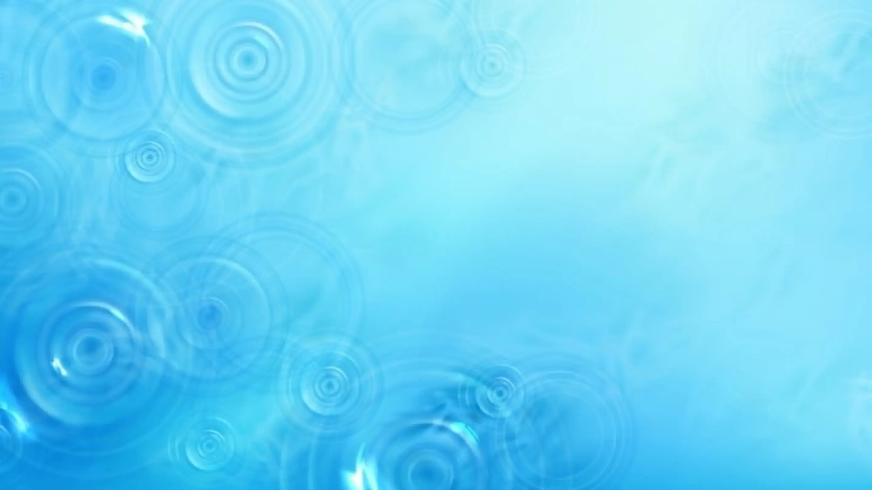Main Banner Image 1