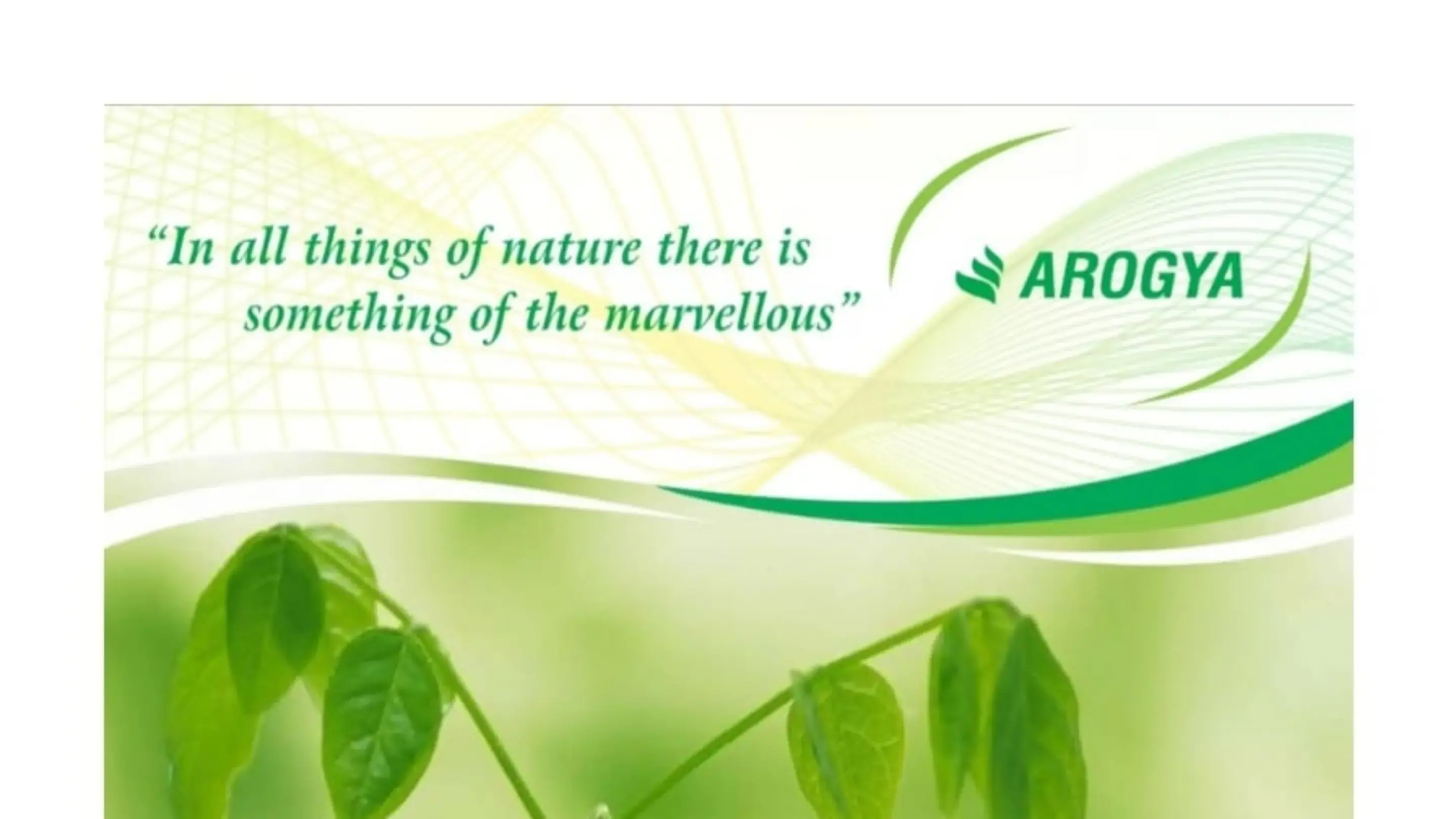 Main Banner Image 1