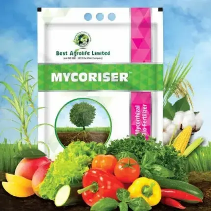 Beat Agrolife Limited MYCORISER Mycorrhizal Bio Fertilizer - 1