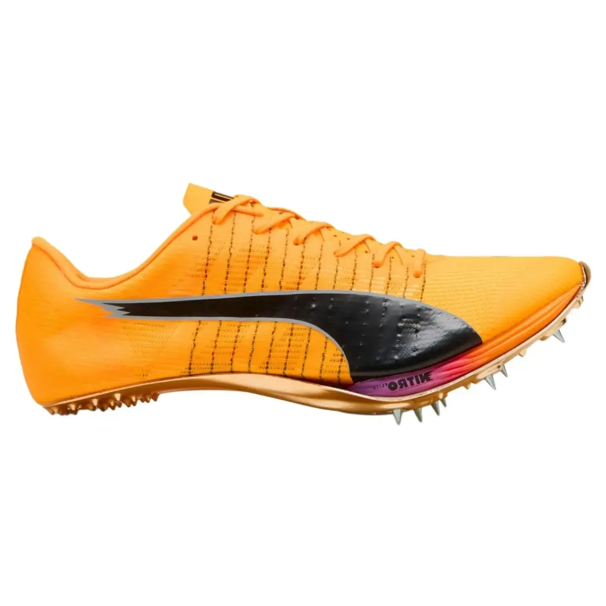 Buy Puma evoSPEED Sprint NITRO Elite 2 sun stream