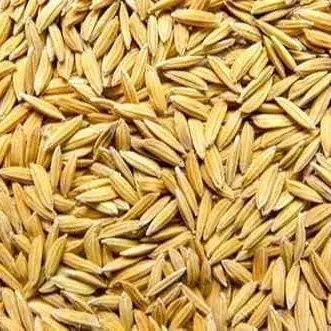 Buy Paddy 1kg online at best price | Ravi kumkum stores
