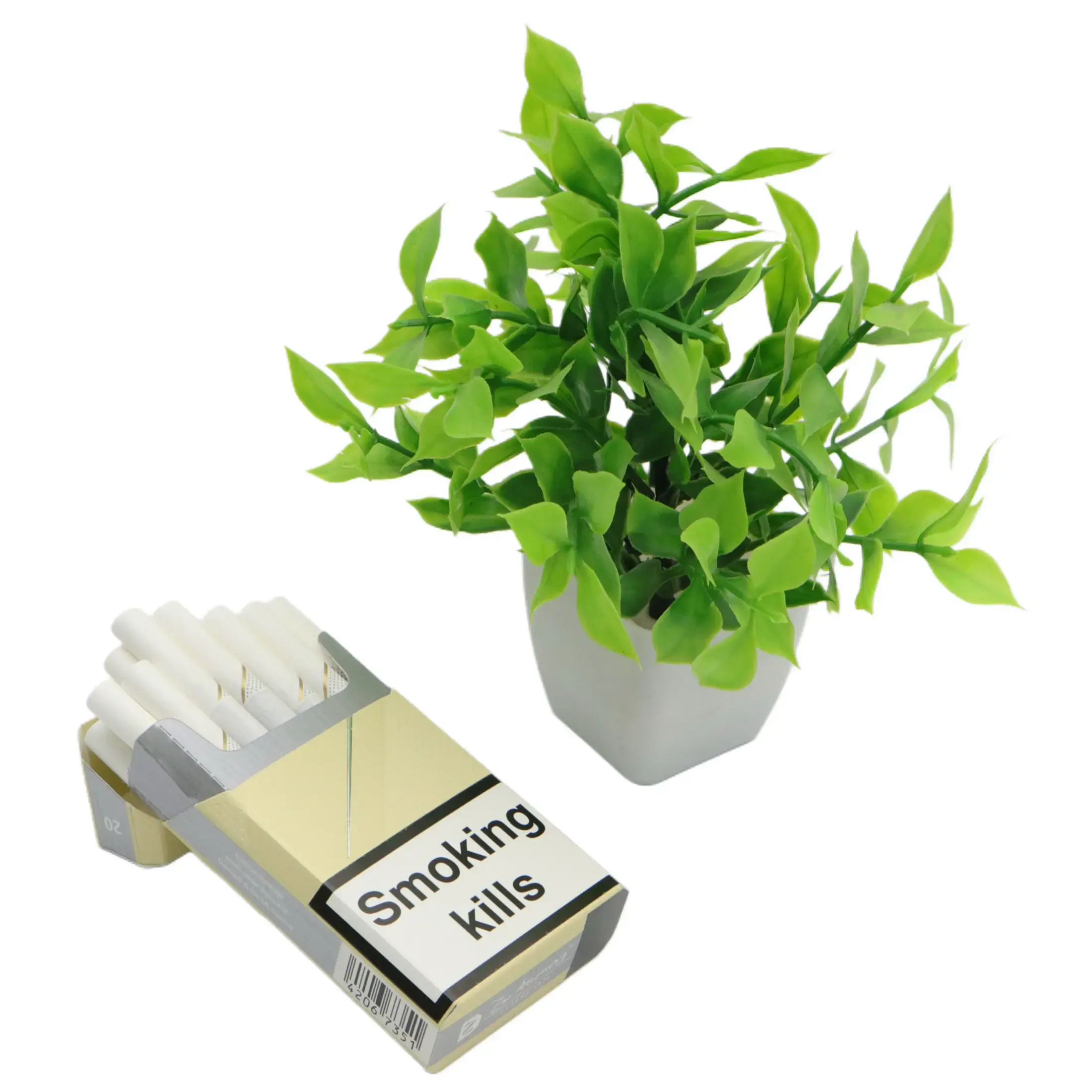 cigarette holder amazon uk Denicotea Black Plastic Cigarette Holder : Amazon.co.uk: Fashion