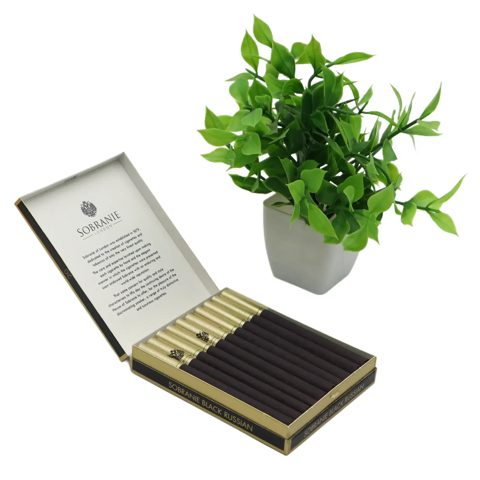 chapman cigarettes buy online Chapman