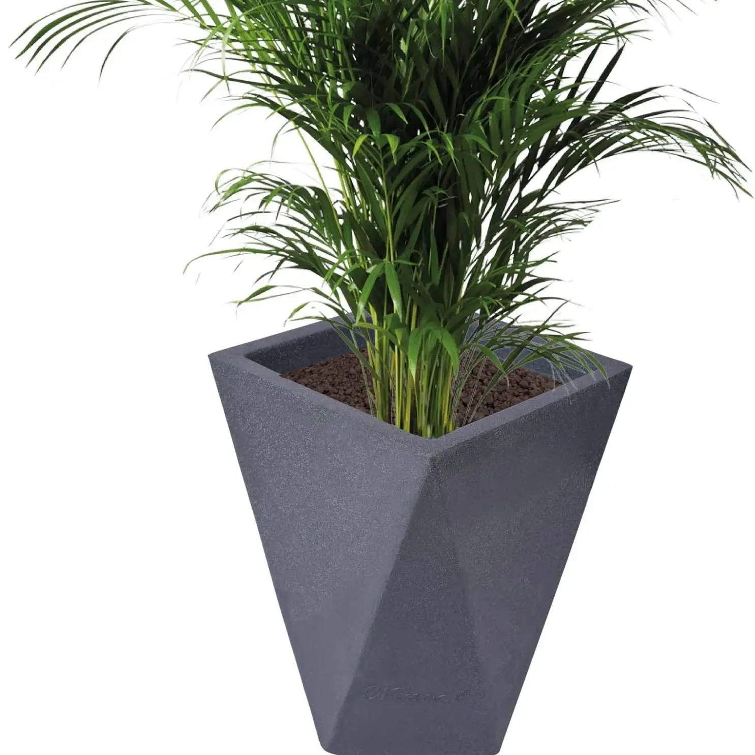 Buy Diamond Shape Planters 24 Inches Premium Quality online at best price |  Nature's Touch Planters