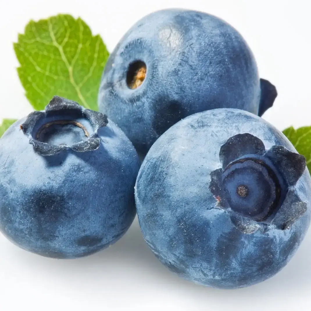Blueberry - 1