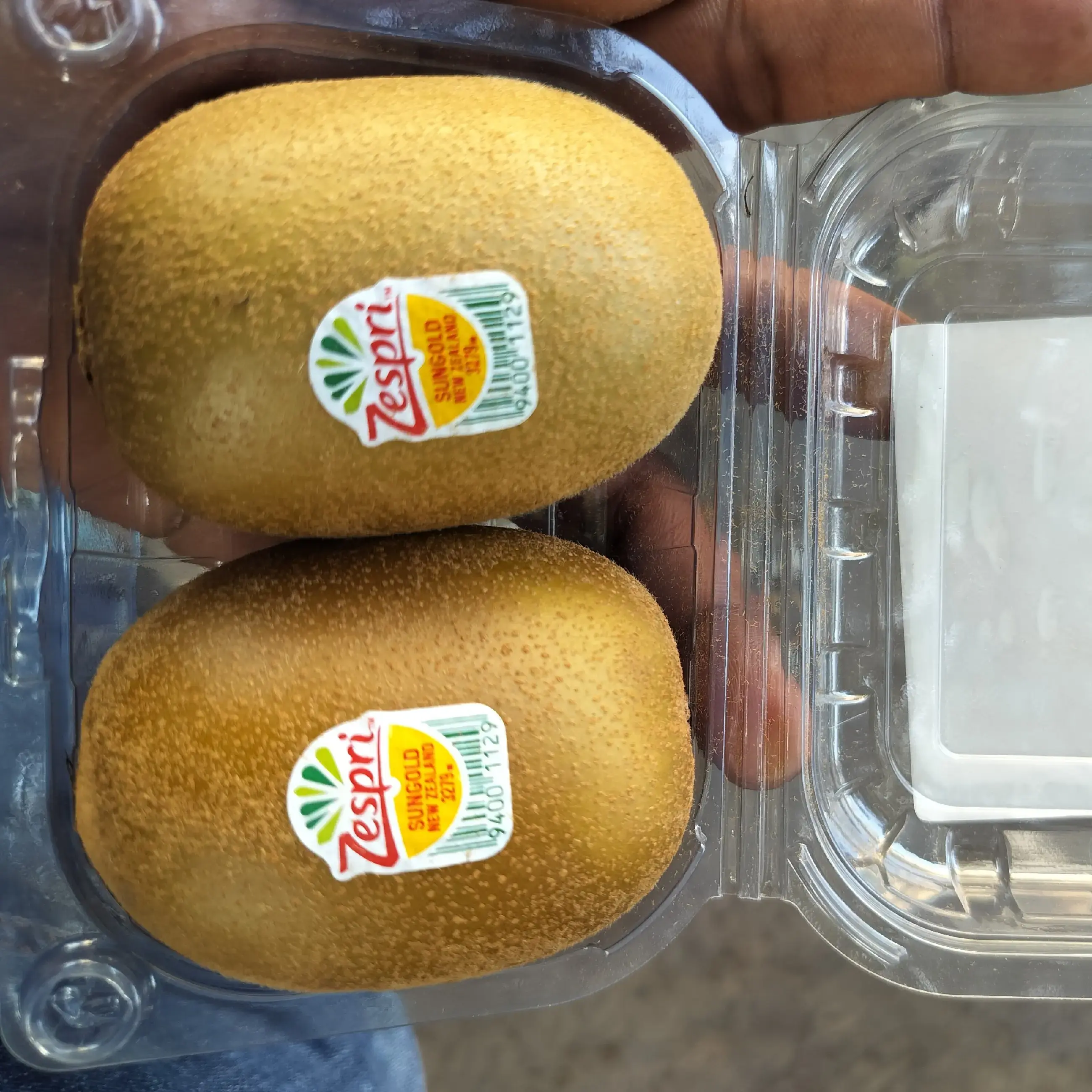 Buy Golden kiwi - 3 piece online at best price | Patil & Gupta