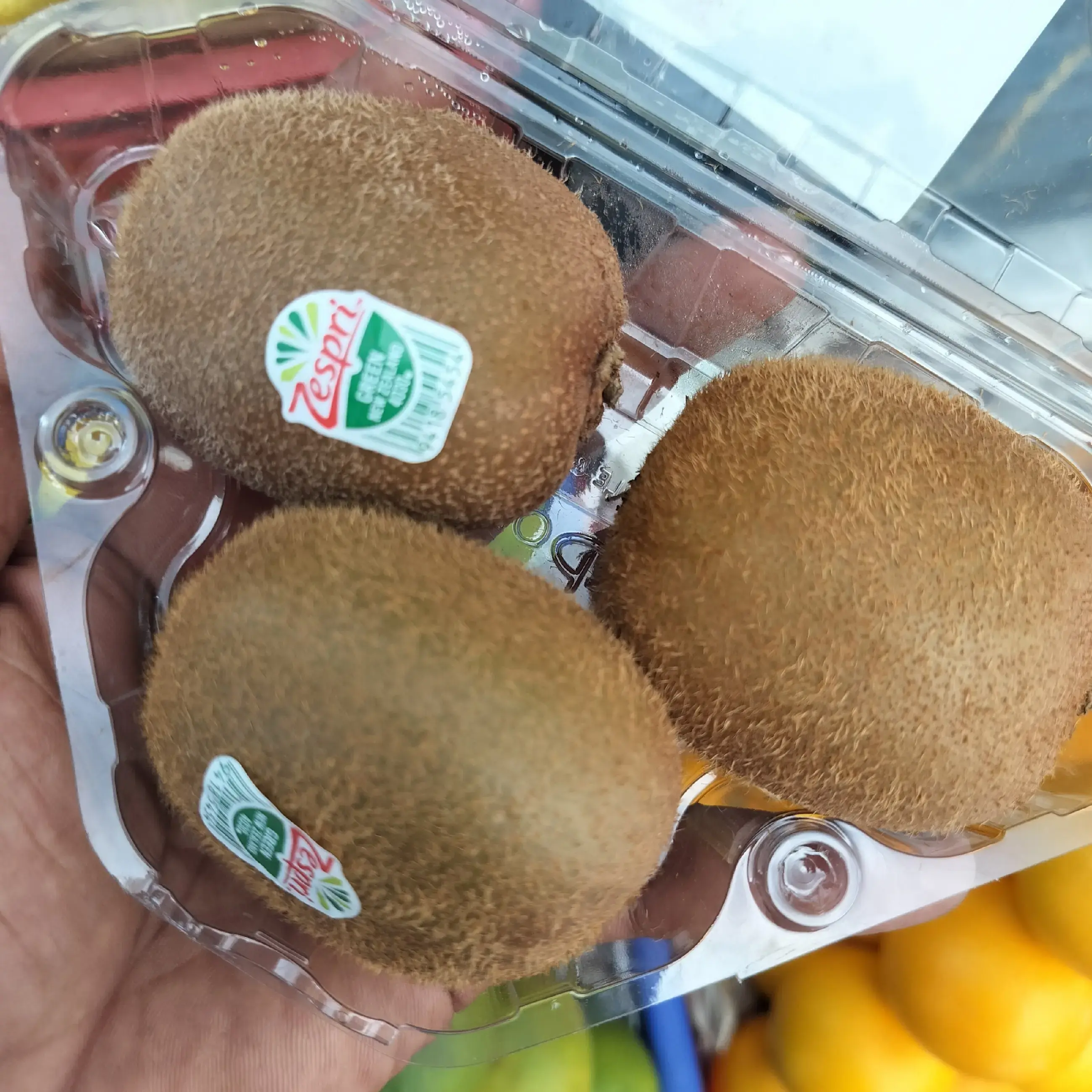 Buy Green kiwi - 3 - Piece online at best price | Patil & Gupta