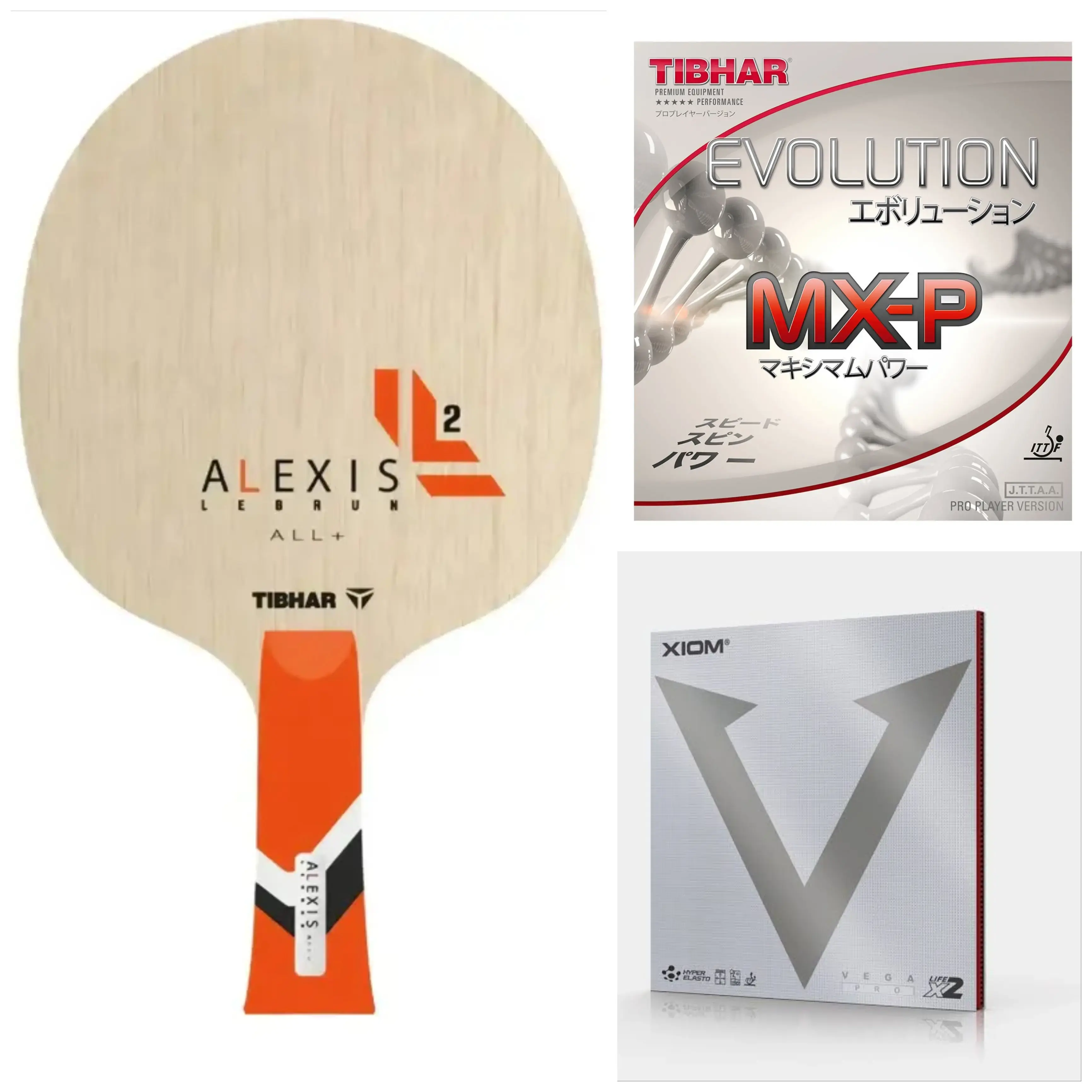 Tibhar Alexis Lebrun Allround with Mxp and Vega Pro