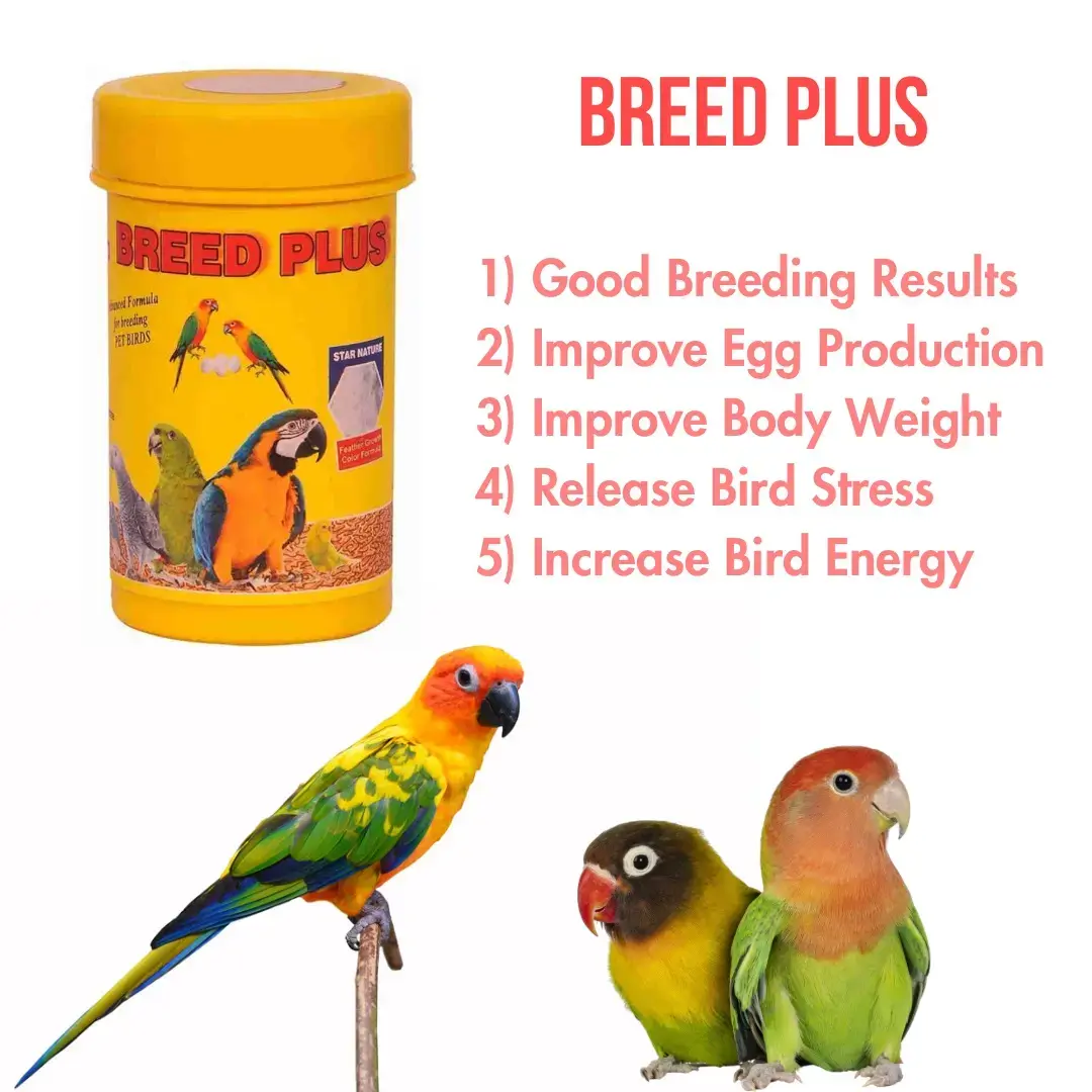 Price In India Best Online Bird Store Buy Breed Plus Supplement For Birds  50gms Online At Best Price